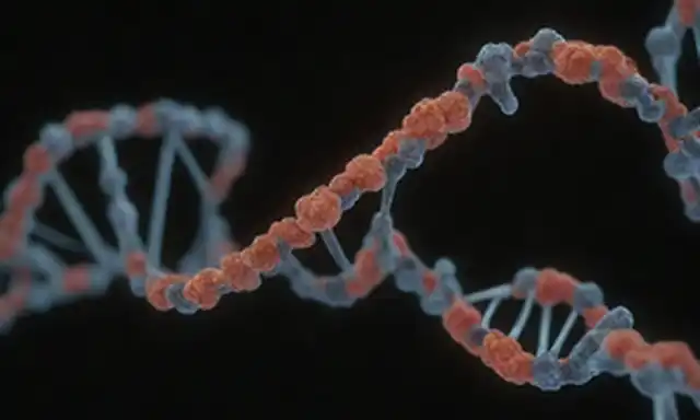 Estructuras moleculares 3D, helix doble de ADN, molécula de ARN, proteínas formando una actividad compleja, enzima, reacciones bioquímicas, núcleo celular, fibras de cromatina, entorno citoplasmático, ilustración microescala