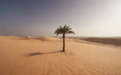 Una vasta extensión de dunas de arena que se extienden hacia un horizonte distante