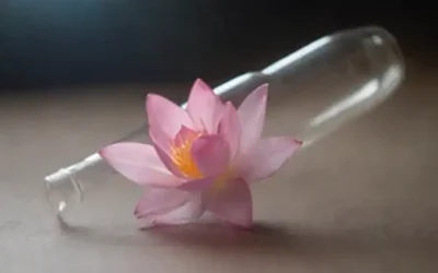 Pétalos delicados flotando en el aire medio