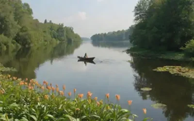 Un lago tranquilo en un día soleado