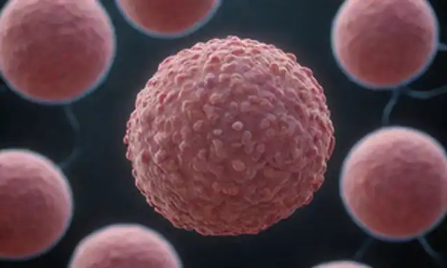 núcleo de células humanas 3D con desbloqueo de cromatina