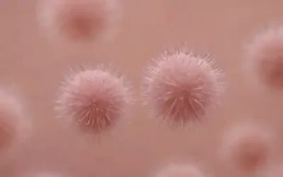células microscópicas con agitación de cilia
