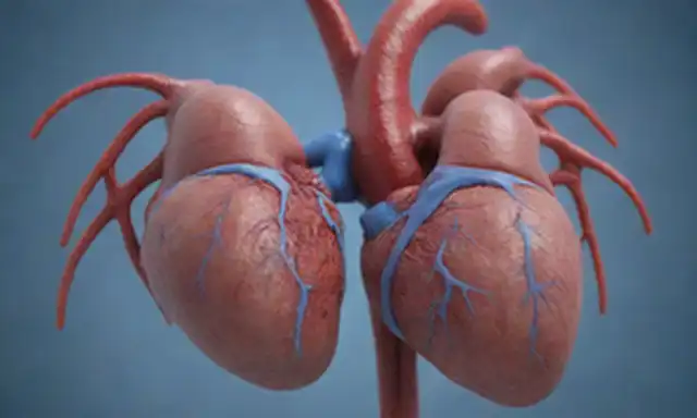 Ilustración 3D de un ritmo cardíaco en movimiento