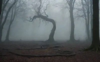 Un bosque oscuro y sucio con árboles retorcidos