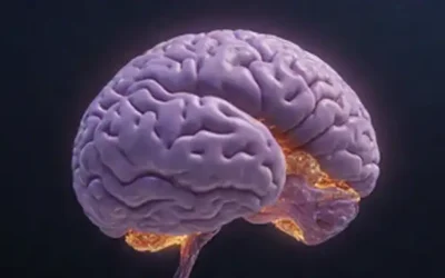 Representación 3D de un cerebro con neuronas púrpuras brillantes