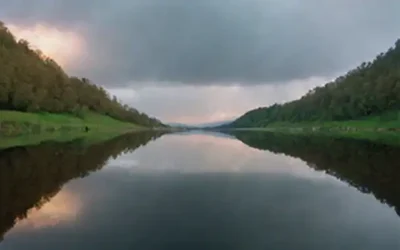 Una imagen dividida con dos lados contrastantes