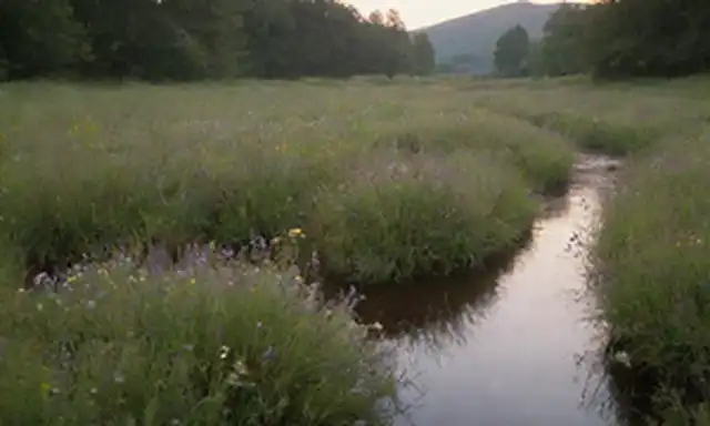 Un paisaje tranquilo y sereno con una suave corriente que atraviesa