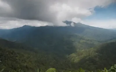 Paisaje montañoso con picos cubiertos de nieve