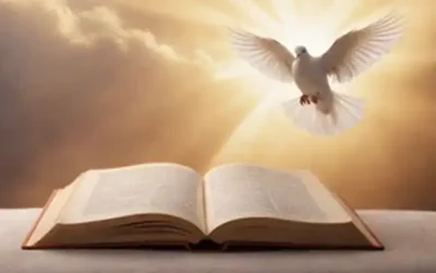 Un fondo sereno con una luz dorada sutil