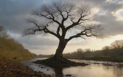 Un paisaje sereno con un suave flujo que fluye