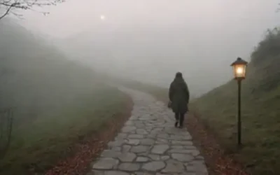 Un camino sinuoso
