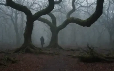 Un bosque oscuro y ominoso