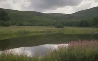Una mezcla armoniosa de notas musicales y flores