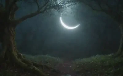 Una mente de las personas se representa como un vasto bosque místico