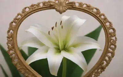 Un delicado lirio blanco