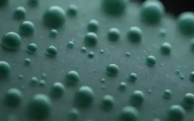 Células 3D con membranas