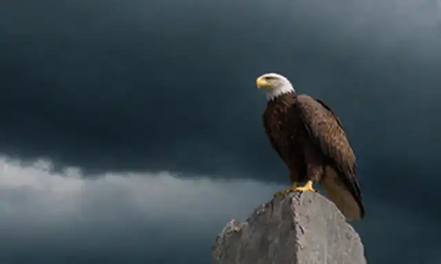 Una corona majestuosa con bordes desgastados, sentada sobre un pedestal agrietado y desvanecido, en medio de un cielo tormentoso con nubes oscuras; un águila solitaria encaramado en el borde, mirando hacia abajo en preocupación