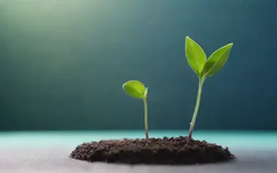 Una planta creciente que brota de una semilla
