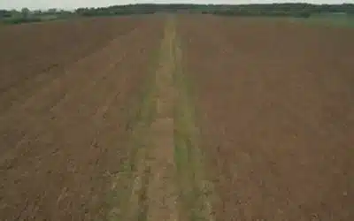 Un paisaje con una línea de demarcación clara