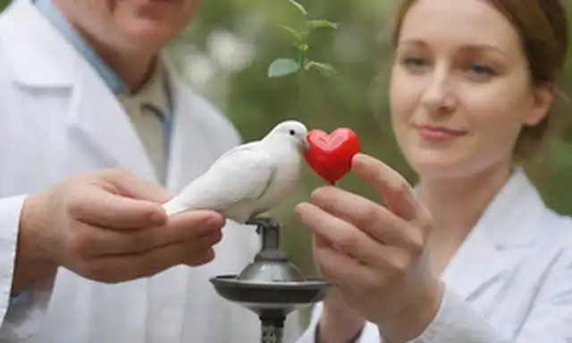 Un par de manos que sostienen una escala, una paloma blanca encaramada en ella; un símbolo de cruz roja superpuesta con una sonrisa, un estetoscopio médico envuelto alrededor de ella; un profesional en la capa de laboratorio de pie junto a un globo, una planta que brota de su centro; un grupo de personas trabajando juntos, un faro sobre ellos; un cerebro rodeado de engranajes interconectados, una pieza de rompecabezas que encaja; una brújula